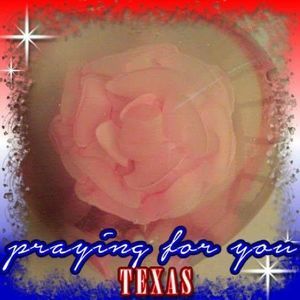 Meet your Posher, Jade